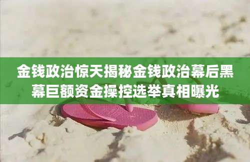 金钱政治惊天揭秘金钱政治幕后黑幕巨额资金操控选举真相曝光