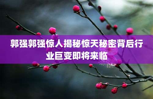 郭强郭强惊人揭秘惊天秘密背后行业巨变即将来临