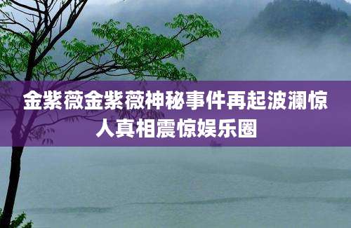 金紫薇金紫薇神秘事件再起波澜惊人真相震惊娱乐圈