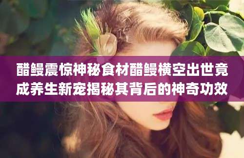醋鳗震惊神秘食材醋鳗横空出世竟成养生新宠揭秘其背后的神奇功效