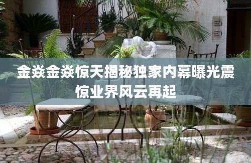 金焱金焱惊天揭秘独家内幕曝光震惊业界风云再起