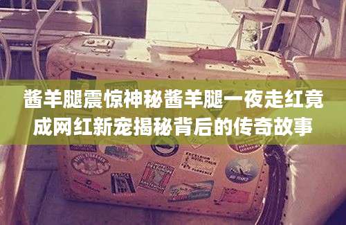 酱羊腿震惊神秘酱羊腿一夜走红竟成网红新宠揭秘背后的传奇故事