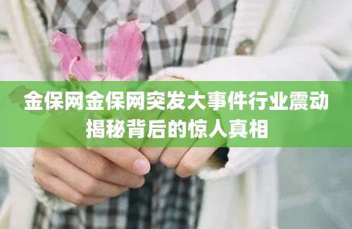 金保网金保网突发大事件行业震动揭秘背后的惊人真相
