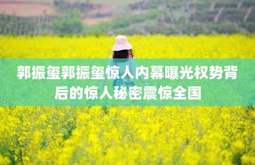 郭振玺郭振玺惊人内幕曝光权势背后的惊人秘密震惊全国