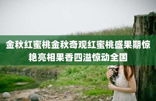 金秋红蜜桃金秋奇观红蜜桃盛果期惊艳亮相果香四溢惊动全国