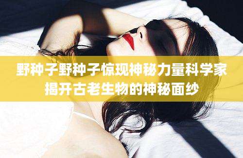 野种子野种子惊现神秘力量科学家揭开古老生物的神秘面纱