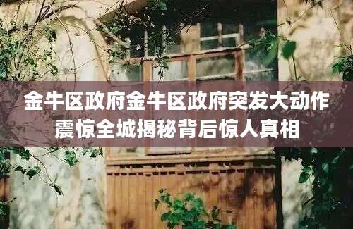 金牛区政府金牛区政府突发大动作震惊全城揭秘背后惊人真相