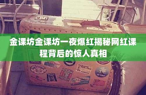 金课坊金课坊一夜爆红揭秘网红课程背后的惊人真相