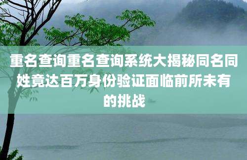 重名查询重名查询系统大揭秘同名同姓竟达百万身份验证面临前所未有的挑战