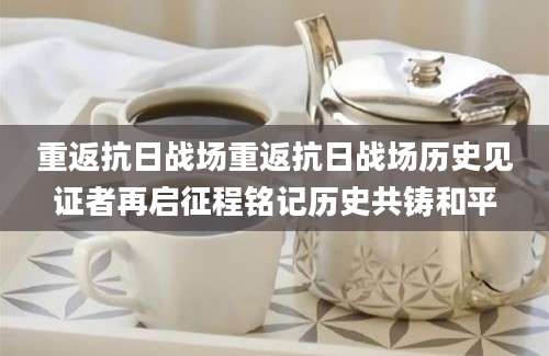 重返抗日战场重返抗日战场历史见证者再启征程铭记历史共铸和平