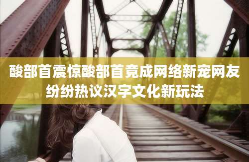 酸部首震惊酸部首竟成网络新宠网友纷纷热议汉字文化新玩法