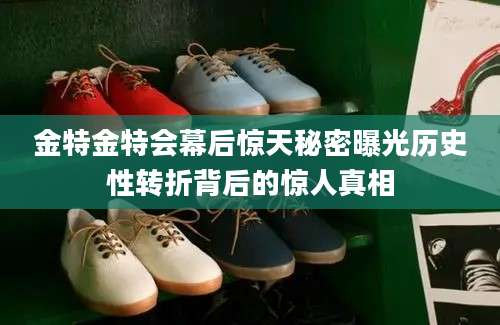 金特金特会幕后惊天秘密曝光历史性转折背后的惊人真相