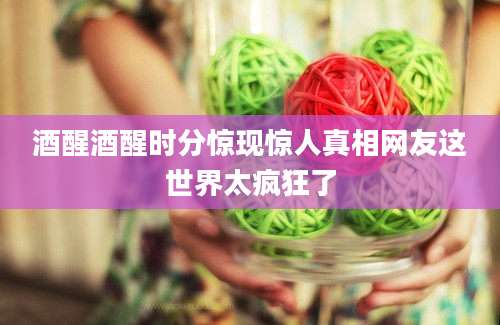 酒醒酒醒时分惊现惊人真相网友这世界太疯狂了