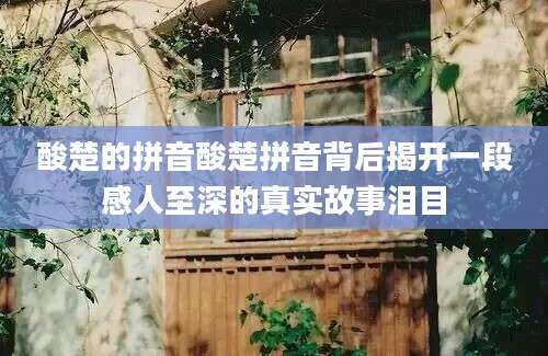 酸楚的拼音酸楚拼音背后揭开一段感人至深的真实故事泪目