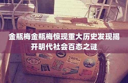 金瓶梅金瓶梅惊现重大历史发现揭开明代社会百态之谜