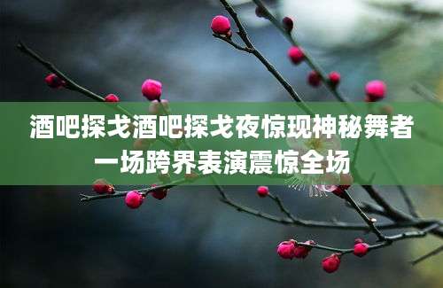 酒吧探戈酒吧探戈夜惊现神秘舞者一场跨界表演震惊全场