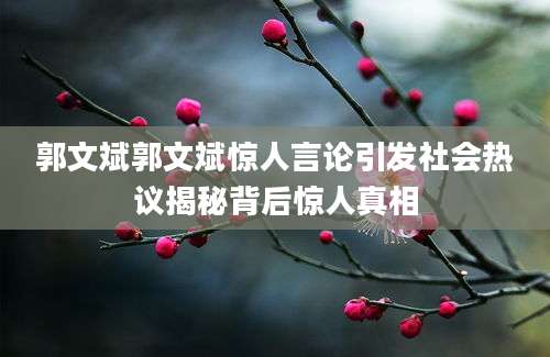 郭文斌郭文斌惊人言论引发社会热议揭秘背后惊人真相