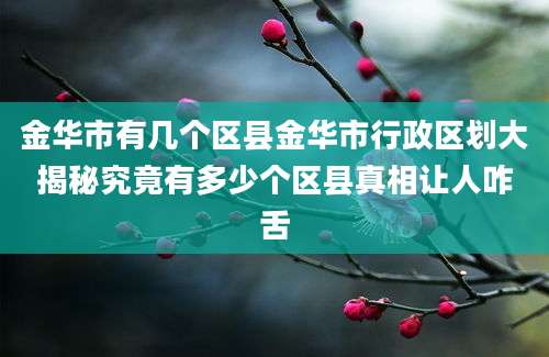 金华市有几个区县金华市行政区划大揭秘究竟有多少个区县真相让人咋舌