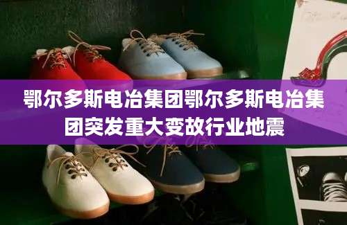 鄂尔多斯电冶集团鄂尔多斯电冶集团突发重大变故行业地震