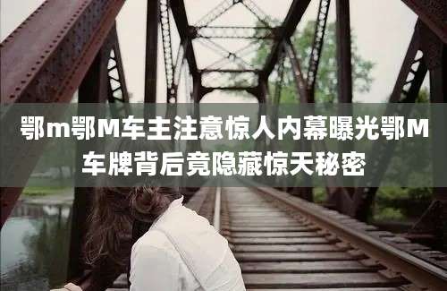 鄂m鄂M车主注意惊人内幕曝光鄂M车牌背后竟隐藏惊天秘密