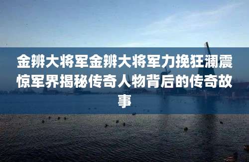 金辨大将军金辨大将军力挽狂澜震惊军界揭秘传奇人物背后的传奇故事