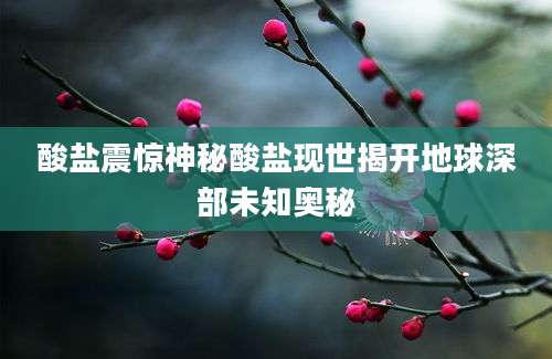 酸盐震惊神秘酸盐现世揭开地球深部未知奥秘