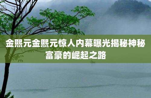 金熙元金熙元惊人内幕曝光揭秘神秘富豪的崛起之路