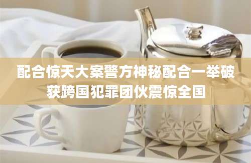 配合惊天大案警方神秘配合一举破获跨国犯罪团伙震惊全国