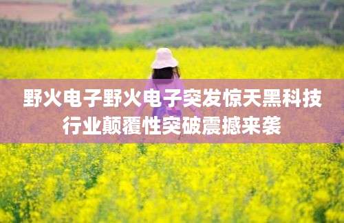 野火电子野火电子突发惊天黑科技行业颠覆性突破震撼来袭