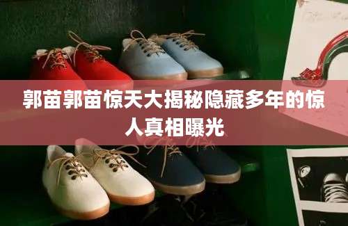 郭苗郭苗惊天大揭秘隐藏多年的惊人真相曝光