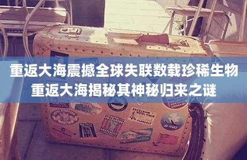 重返大海震撼全球失联数载珍稀生物重返大海揭秘其神秘归来之谜