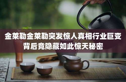 金莱勒金莱勒突发惊人真相行业巨变背后竟隐藏如此惊天秘密