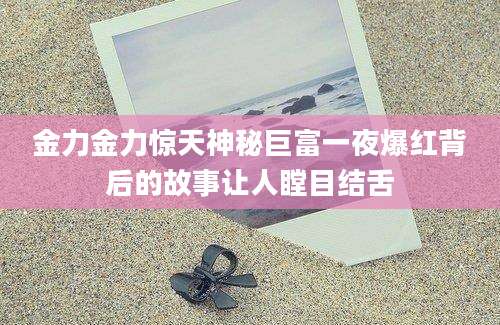 金力金力惊天神秘巨富一夜爆红背后的故事让人瞠目结舌