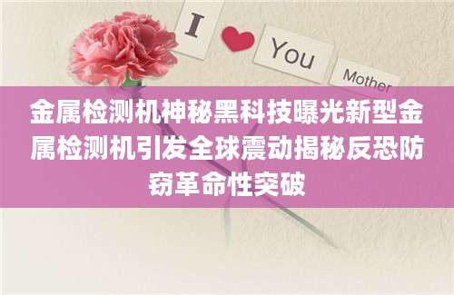 金属检测机神秘黑科技曝光新型金属检测机引发全球震动揭秘反恐防窃革命性突破