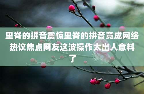 里脊的拼音震惊里脊的拼音竟成网络热议焦点网友这波操作太出人意料了