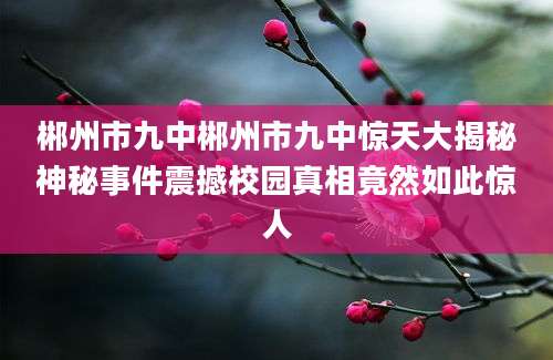 郴州市九中郴州市九中惊天大揭秘神秘事件震撼校园真相竟然如此惊人