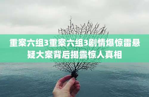 重案六组3重案六组3剧情爆惊雷悬疑大案背后揭露惊人真相