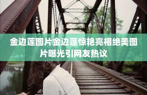 金边莲图片金边莲惊艳亮相绝美图片曝光引网友热议