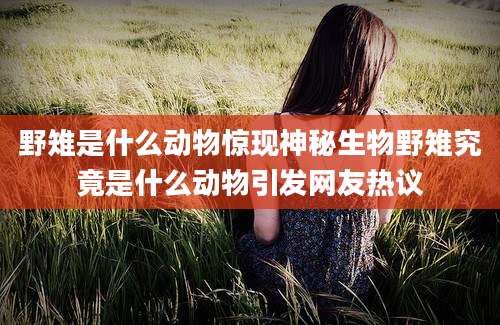 野雉是什么动物惊现神秘生物野雉究竟是什么动物引发网友热议