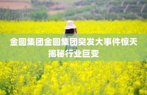 金圆集团金圆集团突发大事件惊天揭秘行业巨变