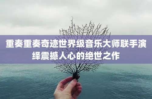重奏重奏奇迹世界级音乐大师联手演绎震撼人心的绝世之作