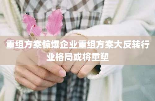 重组方案惊爆企业重组方案大反转行业格局或将重塑