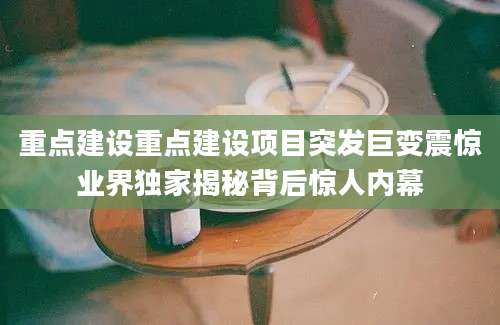 重点建设重点建设项目突发巨变震惊业界独家揭秘背后惊人内幕