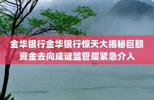 金华银行金华银行惊天大揭秘巨额资金去向成谜监管层紧急介入