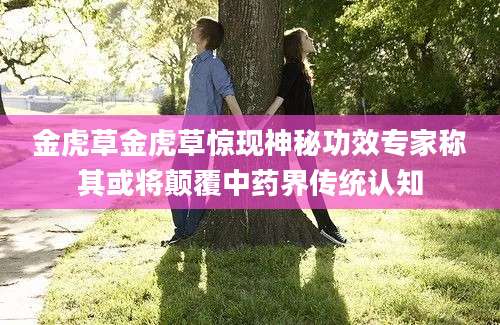 金虎草金虎草惊现神秘功效专家称其或将颠覆中药界传统认知