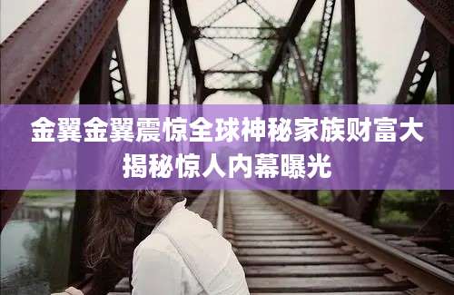 金翼金翼震惊全球神秘家族财富大揭秘惊人内幕曝光
