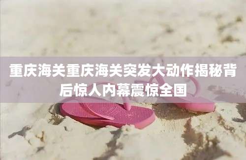 重庆海关重庆海关突发大动作揭秘背后惊人内幕震惊全国