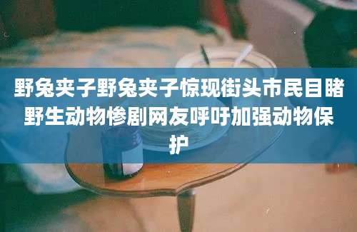 野兔夹子野兔夹子惊现街头市民目睹野生动物惨剧网友呼吁加强动物保护