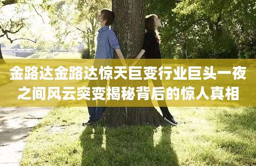 金路达金路达惊天巨变行业巨头一夜之间风云突变揭秘背后的惊人真相