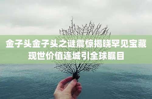 金子头金子头之谜震惊揭晓罕见宝藏现世价值连城引全球瞩目